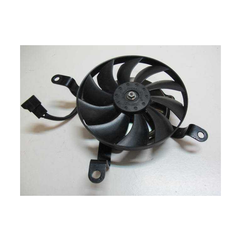 Ventilateur R1 de 2010