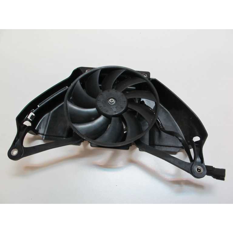 Ventilateur 600 Hornet 07/10