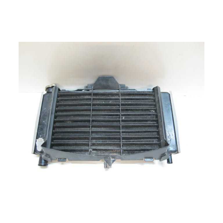 Radiateur d'eau FZ6 04/06