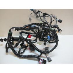 Faisceau électrique Z800 de 2013