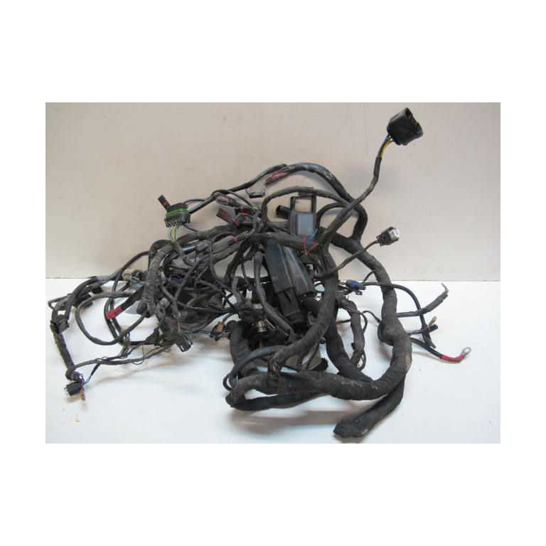 Faisceau principal R1200RT 05/09