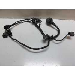 Faisceau injecteurs Z750 N 04/06