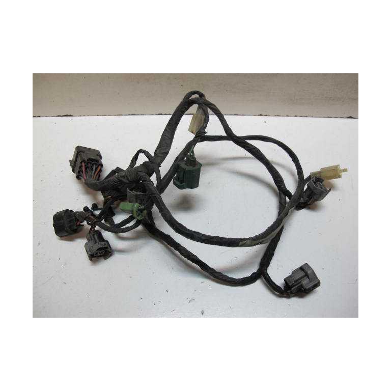 Faisceau moteur 1000 GTS 93/99