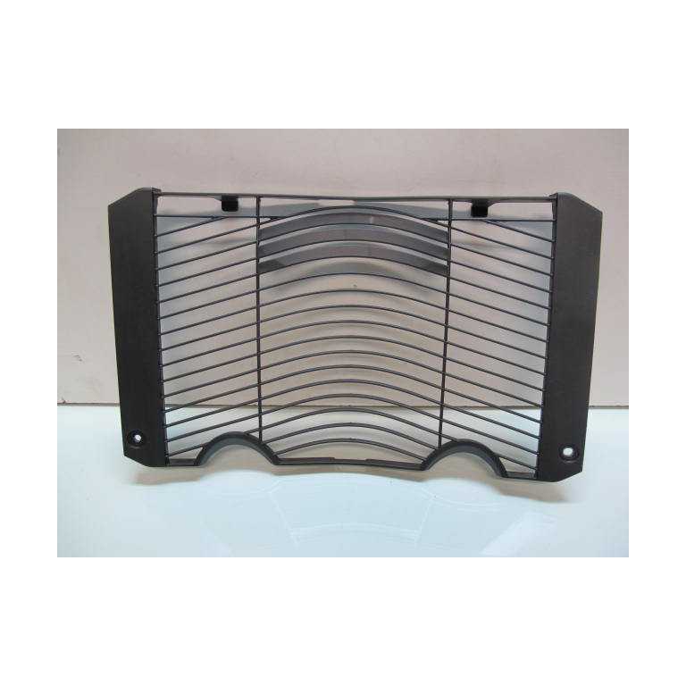 Grille de radiateur FZ1 06/13