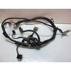 Faisceau electrique principal 125 YBR de 2009