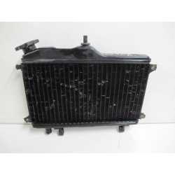 Radiateur 250 TDR