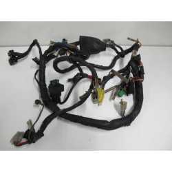 Faisceau electrique principal 650 DR
