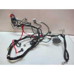 Faisceau electrique principal 125 Cygnus / Flame