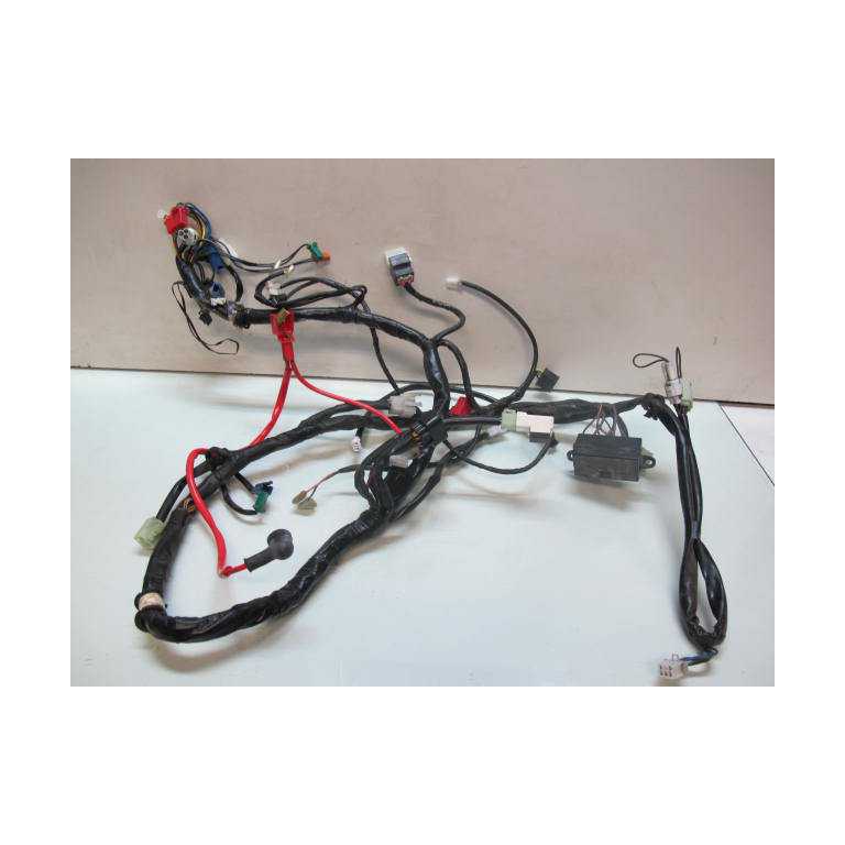 Faisceau electrique principal 125 Cygnus / Flame