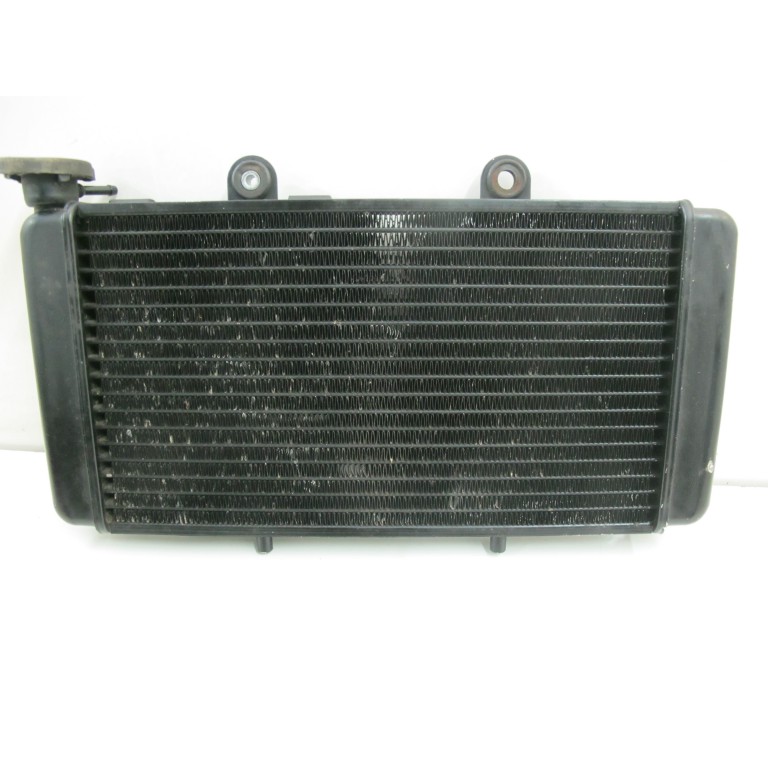 Radiateur d'eau 650 Pegaso