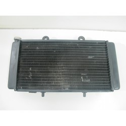 Radiateur 650 Pegaso