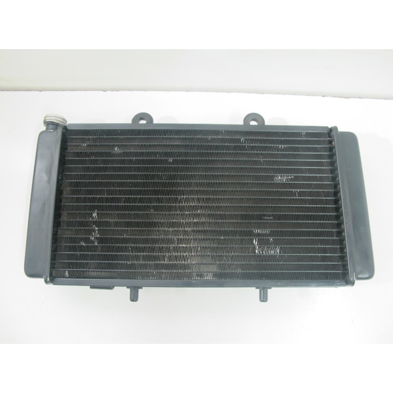 Radiateur 650 Pegaso