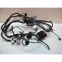 Faisceau electrique principal 1100 ZZR