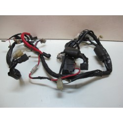 Faisceau electrique 600 Diversion S
