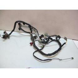 Faisceau electrique EN 500