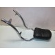 Sissy Bar Custom