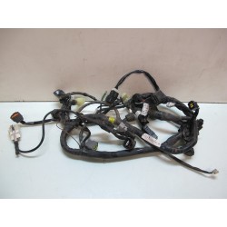 Faisceau electrique 700 Raptor 09
