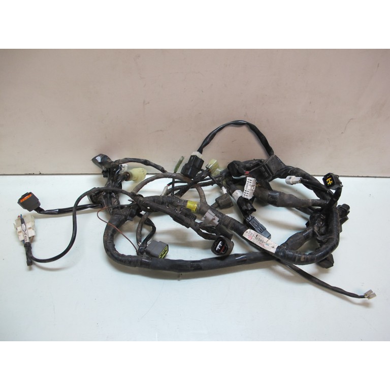 Faisceau electrique 700 Raptor 09