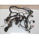 Faisceau electrique RGV 250 VJ22A