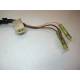 Stator + rotor alternateur 125 DTMX