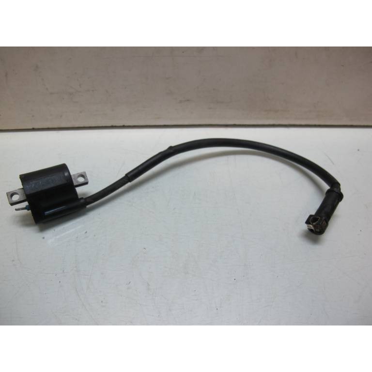 Bobine allumage 200 Blaster