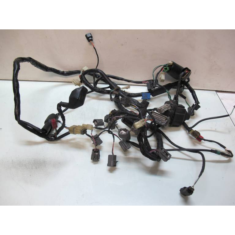 Faisceau principal CBR 600 RR PC37