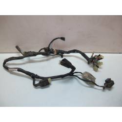Faisceau electrique CMX 250 Rebel