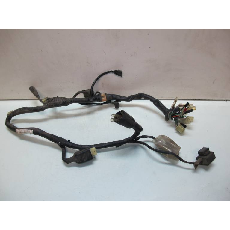 Faisceau electrique CMX 250 Rebel