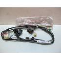 Faisceau electrique NEUF 600 ZZR