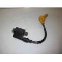 Bobine allumage 250 CRF