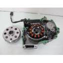 Stator + rotor alternateur CRF 250