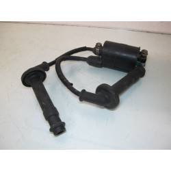 Bobine HT 2/3 600 Hornet 02/06