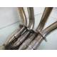 Collecteur echappement INOX 600 Thundercat