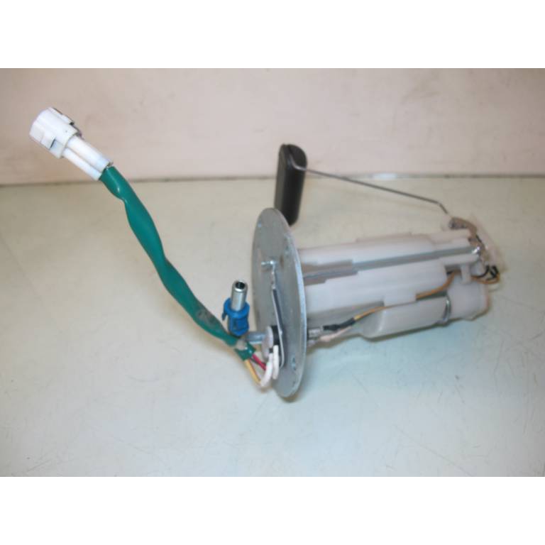 Pompe a essence 650 Gladius