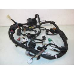 Faisceau electrique 650 Gladius