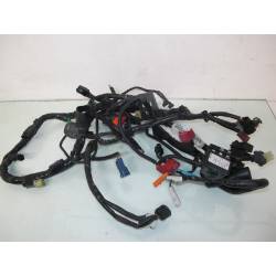 Faisceau electrique 600 Hornet 07/13