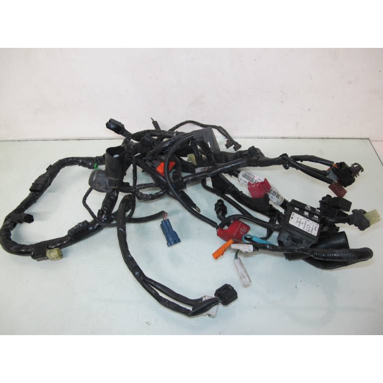 Faisceau electrique 600 Hornet 07/13